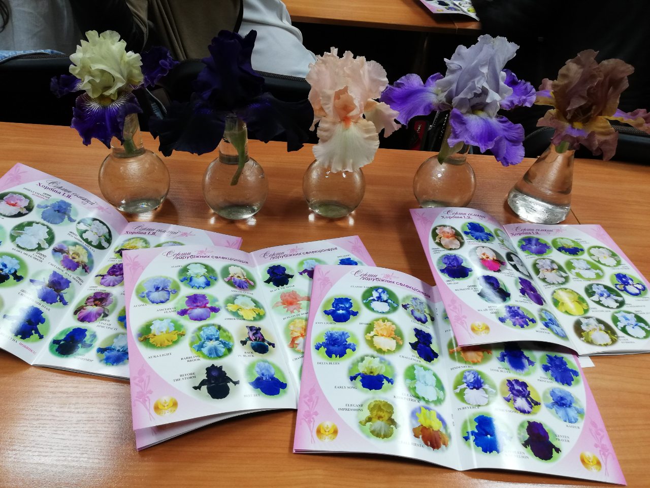 Сорти виведені  Ігорем Хорошем